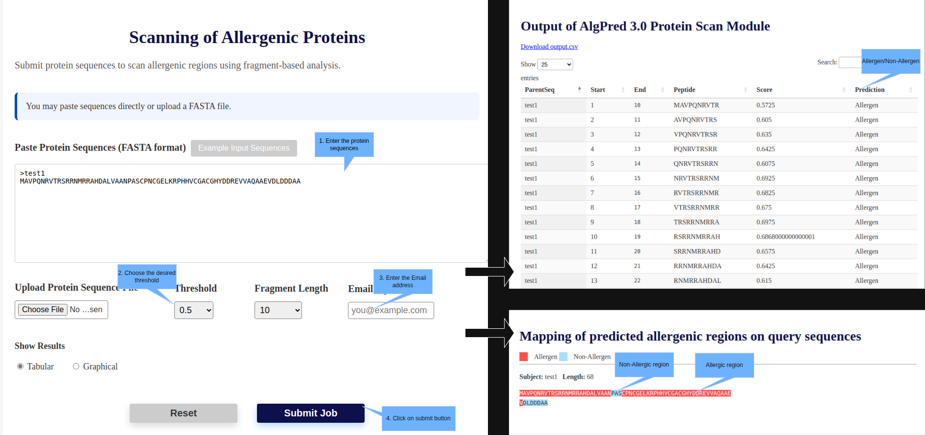 IgE Epitope Mapping