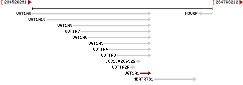 gene image