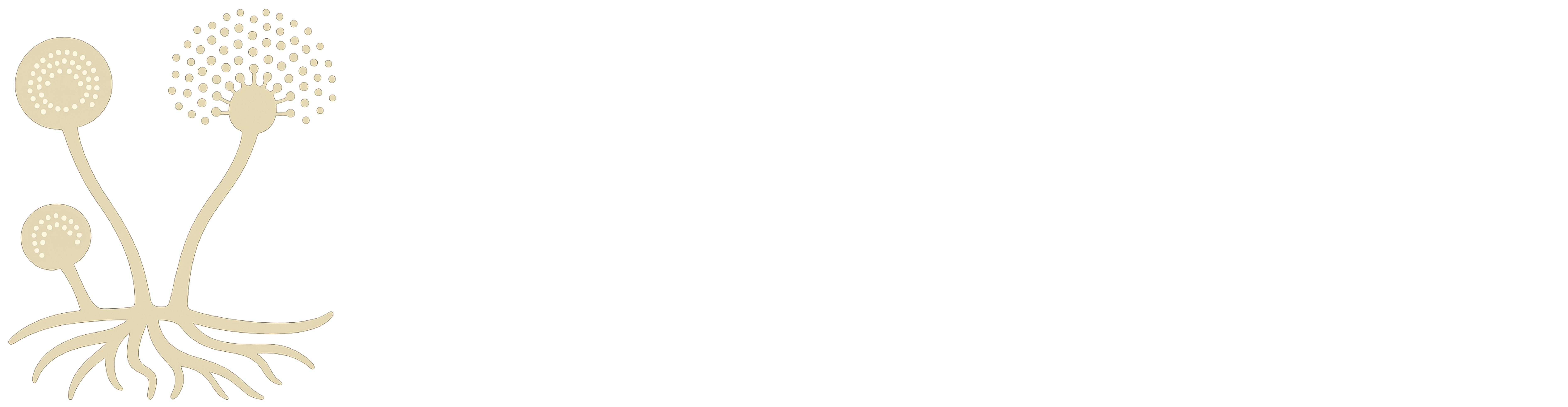 MycoBiomDB