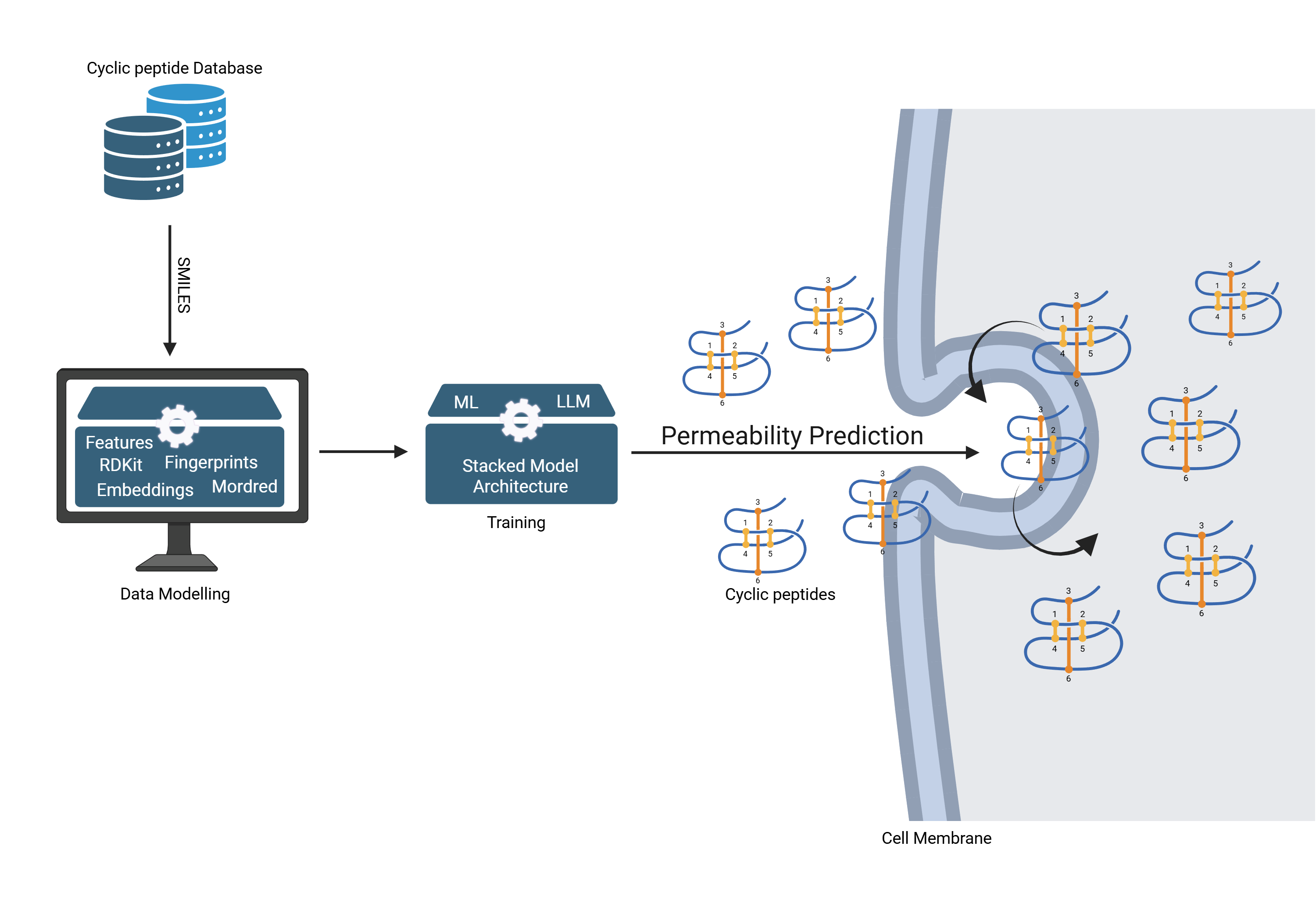 Illustration of PCPpred
