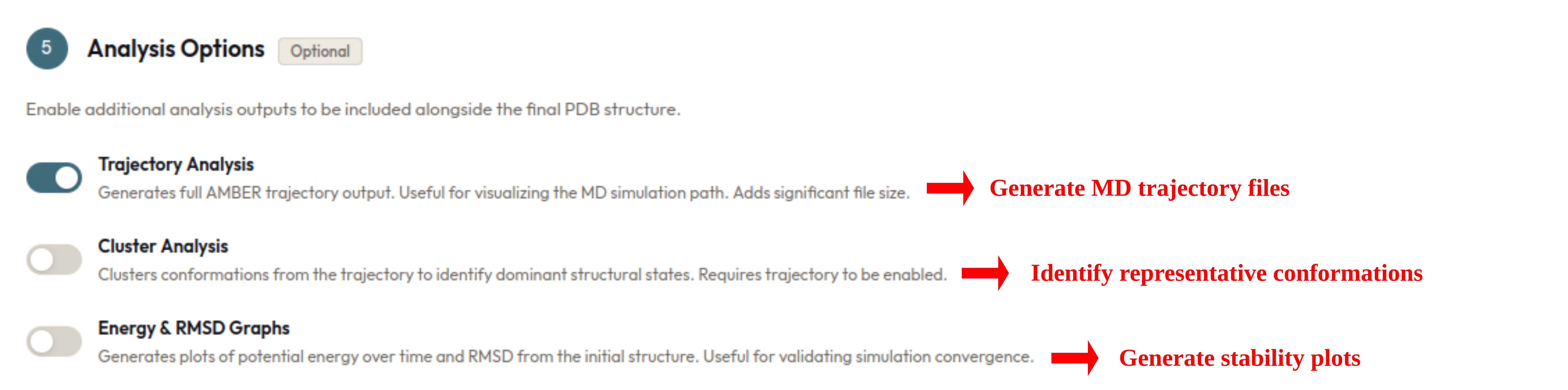 Analysis Options Screenshot