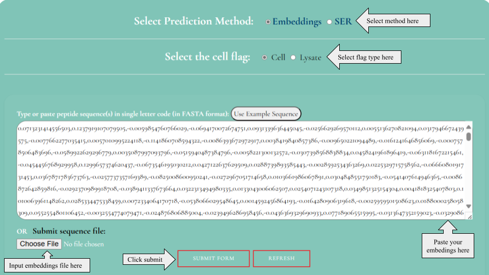 Prediction Module Image