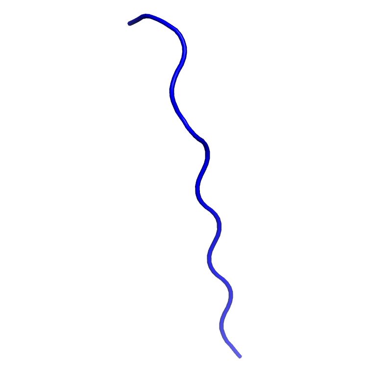 3D Structure