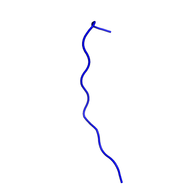 3D Structure