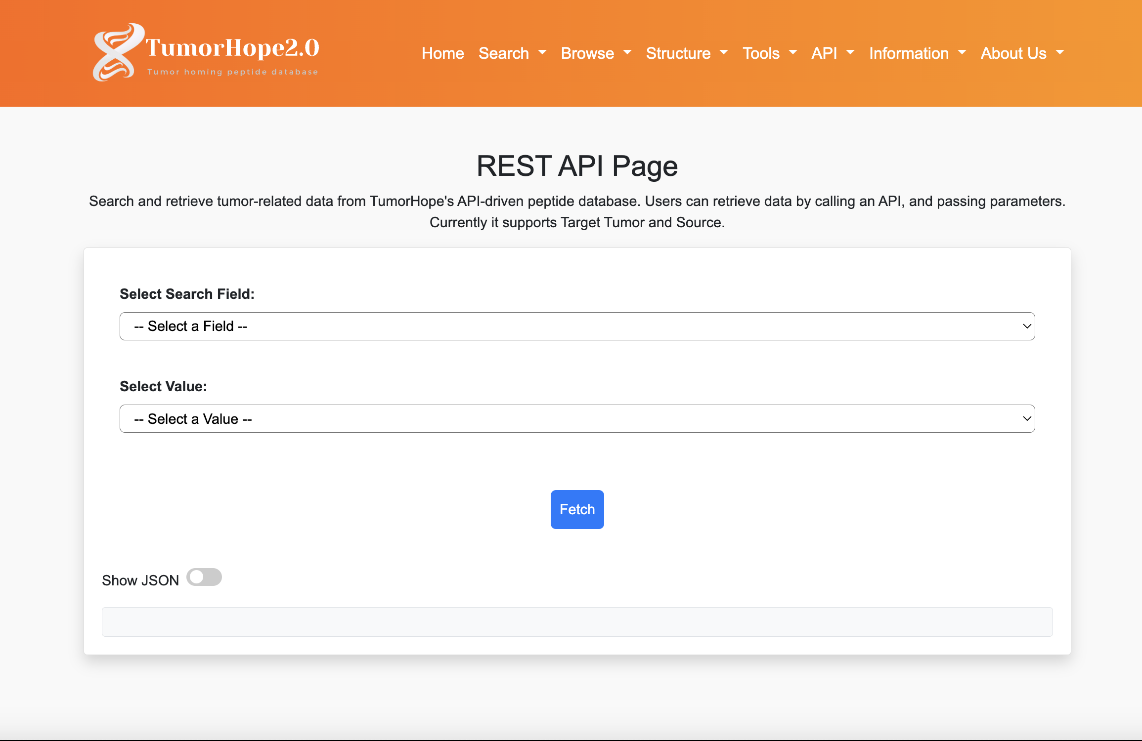 API Main Page Screenshot